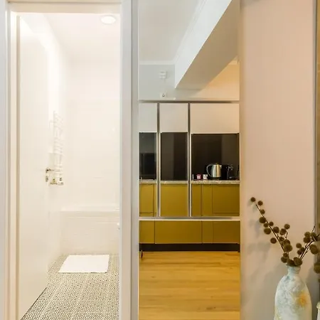 Luxury 5 Stars Aviatiei Park Condominium Apartment